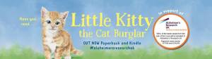 Little Kitty banner